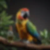 A vibrant parrot perched on a branch with a CBD oil bottle nearby