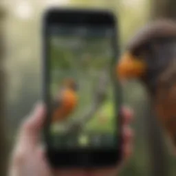 Close-up of a smartphone displaying a bird call identification app in use