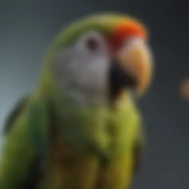 A close-up of an Amazon parrot displaying varied behavioral traits in a playful setting.