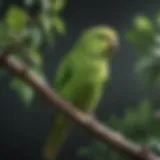 A vibrant green parakeet perched on a branch