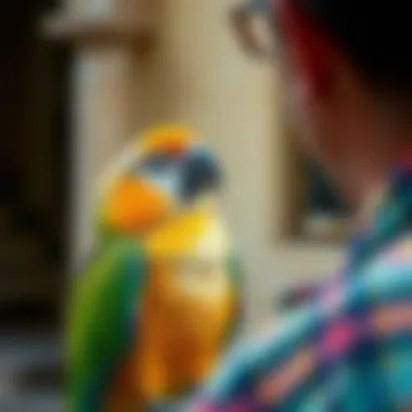 A parrot interacting with its owner, showcasing social behavior