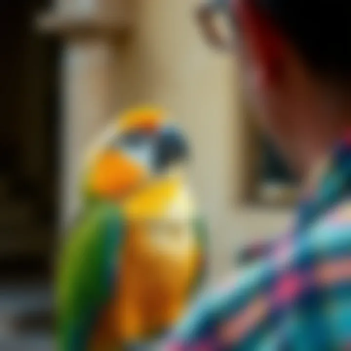 A parrot interacting with its owner, showcasing social behavior