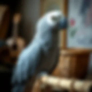 A serene African Grey parrot in a cozy environment