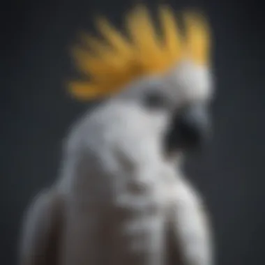 Cockatoo Showcasing Its Unique Crest A majestic cockatoo displaying its crest