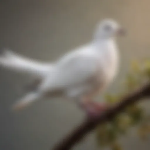 A serene white dove perched gracefully on a branch