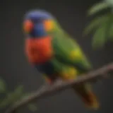 A vibrant rainbow lorikeet perched on a branch, showcasing its colorful feathers.