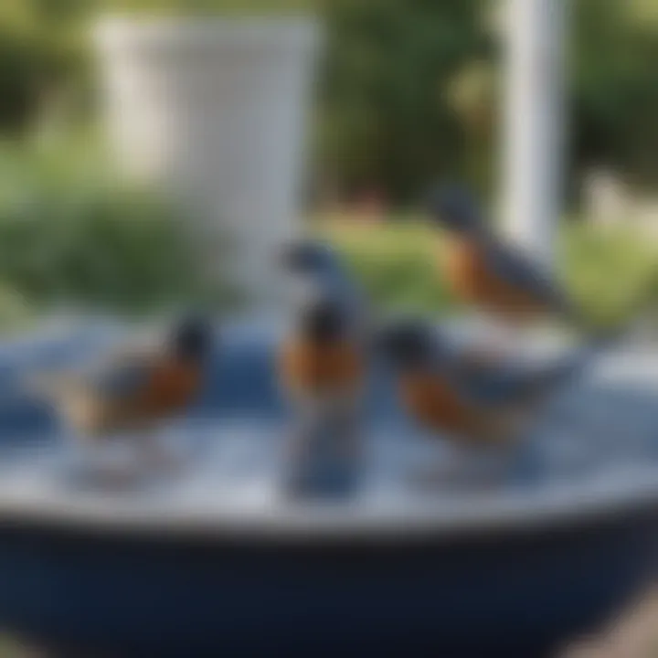 Birds enjoying a refreshing bath in a Lowe's blue bird bath