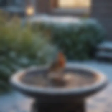 A beautifully designed heated bird bath in a snowy garden setting