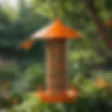 Vibrant orange bird feeder hanging in a lush garden