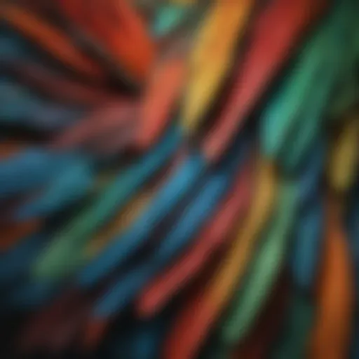 Colorful spectrum of parrot feathers showcasing various breeds