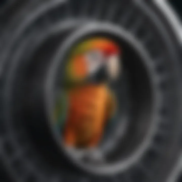 Comparison of different types of replacement wheels for parrot cages