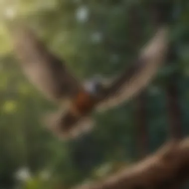 A serene outdoor scene showing a bird in flight with a tracking device visible