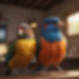Colorful avian companions ready for adoption