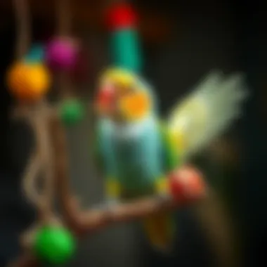 A small parrot engaging in play with various enriching toys, highlighting its playful nature.