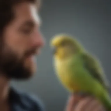 A playful budgerigar interacting with its owner, highlighting social behavior