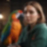 Colorful parrot perched on a shoulder