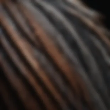 A close-up of a lyrebird demonstrating its intricate feather patterns