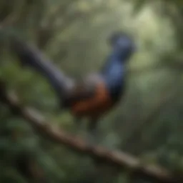 A lyrebird perched on a tree branch showcasing its stunning plumage