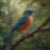 A vibrant scene of various bird species perched on branches.