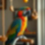 Colorful parrot perched on a intricately designed play stand