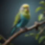 Vibrant budgie perched on a branch