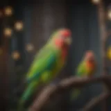Colorful parakeets in a vibrant aviary