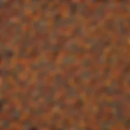 A colorful array of wild bird seeds including sunflower, millet, and safflower