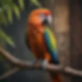 A colorful parrot perched on a branch with a curious expression.