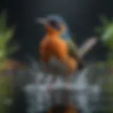 A vibrant water dipping bird showcasing its unique behavior in a natural habitat.