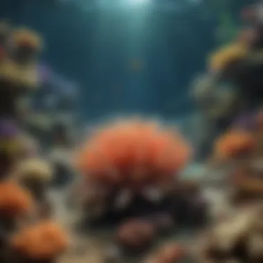 An intricate view of a coral reef teeming with exotic fish