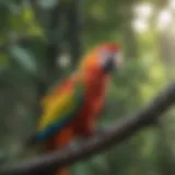 A vibrant parrot perched on a branch, looking attentive