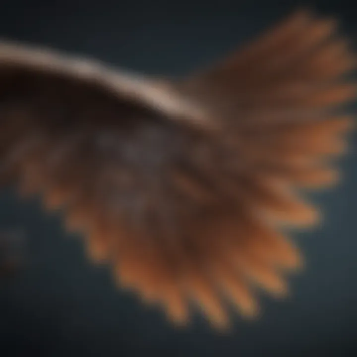 Close-up of a bird's wings in motion during flight