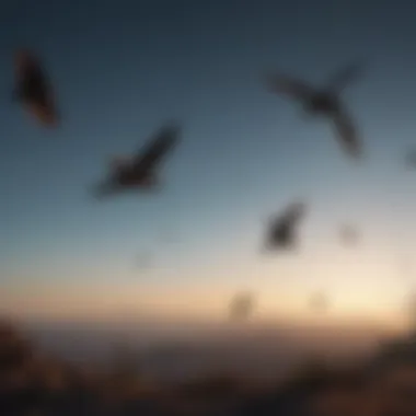 Silhouette of various birds in flight, showcasing their unique shapes.