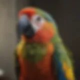 A close-up of a colorful parrot perched, vocalizing harmoniously.