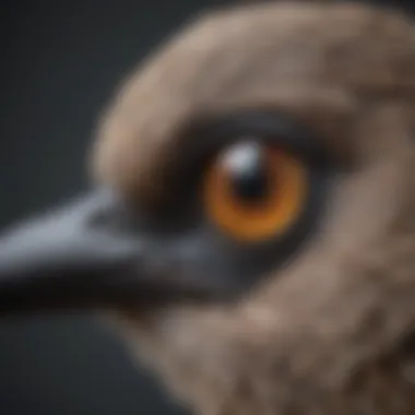 A close-up of a bird’s beak emitting sound waves, illustrating vocalization.