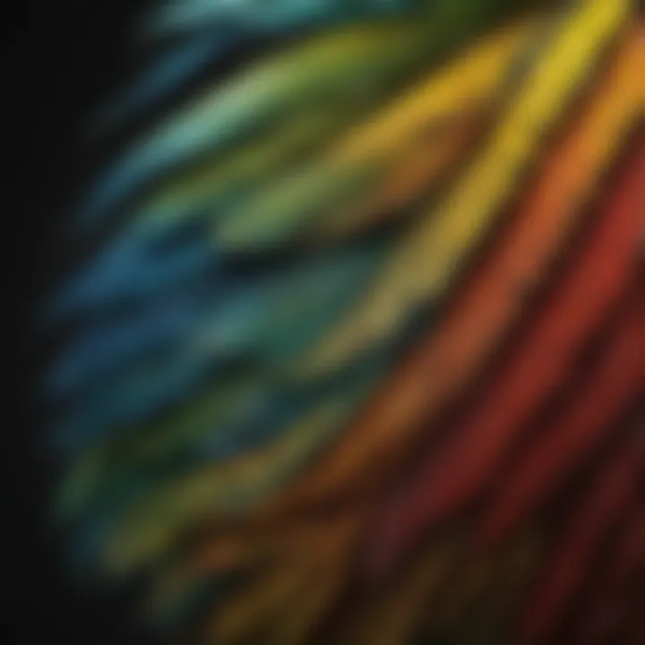 Colorful feathers of a parrot showcasing distinct patterns