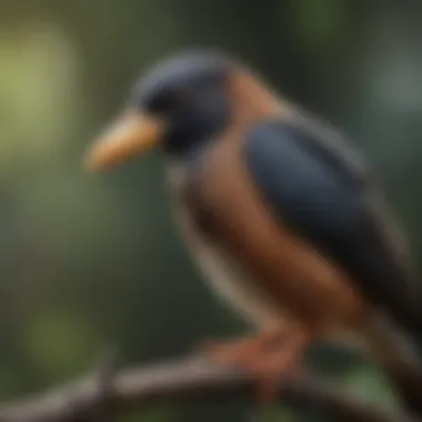 Bird perched on a branch displaying unique beak shape