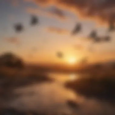 Majestic Migration: The Journey of Flocks A mesmerizing flock of migratory birds in flight against a sunset
