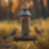 A diverse array of bird feeders designed for various species in Kettle Moraine.