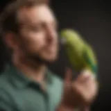 A vibrant parakeet perched on a person's finger, showcasing the bond between bird and owner.