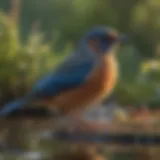 A diverse group of birds in their natural habitat on Long Island