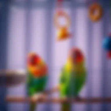 Lovebirds interacting with toys inside a cage