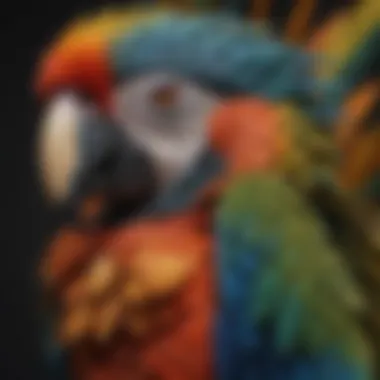 Close-up of a macaw's face showcasing its vibrant feathers