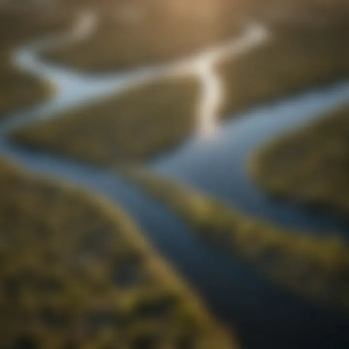 An aerial view of the Mississippi Flyway, highlighting its ecological significance.