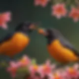 Vibrant orioles feeding on nectar from a flower