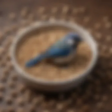 A close-up of bird pellets and seeds representing dietary options