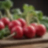 Colorful radishes on a wooden table