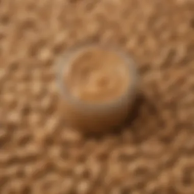 Close-up of peanut butter spread with a few sunflower seeds beside it, highlighting bird treats.