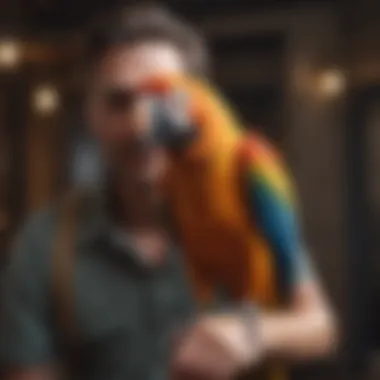 A macaw interacting playfully with its owner, illustrating the bond between them.