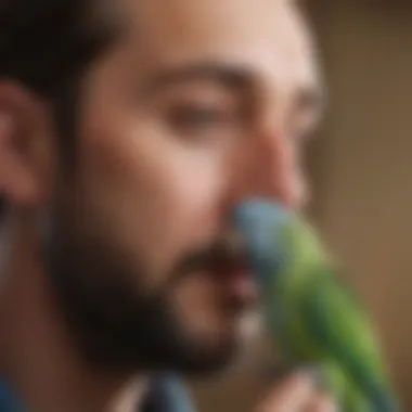 Close-up of a parakeet interacting with its owner